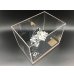 画像9: TOMEI A12 東名パワード50周年記念プレミアムモデル